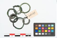 Foto von Bronzering (NHMW-PRAE-026137)